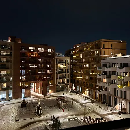 An Elegant And Modern In Bjorvika