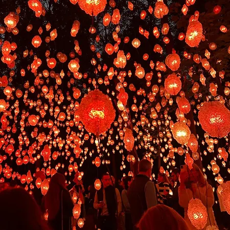 An Elegant And Modern In Bjorvika